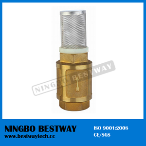 Economical Foot Valve Price Factory (BW-C10)