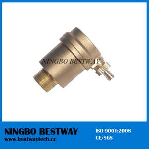 Brass Automatic Air Vent Valve (BW-A12)