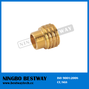 Ningbo Bestway Brass Insert Nut Hot Sale (BW-727)