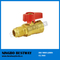 3/8 Inch Brass Gas Ball Valve Fip X Flare (BW-USB06)