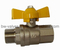 Brass Gas Ball Valve with Butterfly Handle (BW-B137 FxM)