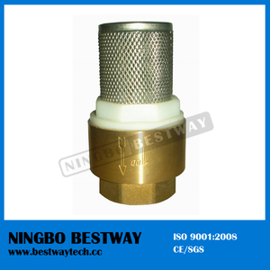 Brass Check Valve with Stainless Steel Strainer (BW-C09)