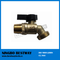 Forged Brass Faucet Hose Bibb (BW-T22)