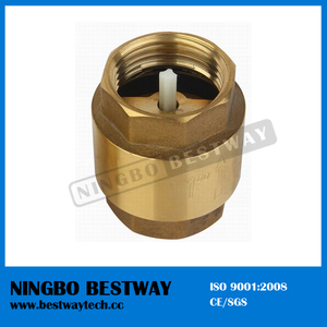 Hot Sale Brass Check Valve with Plastic Core (BW-C03)