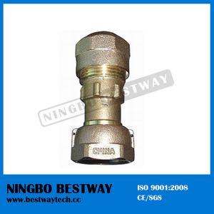 China Brass Water Meter Accessories Professional Manufacturer (BW-711)