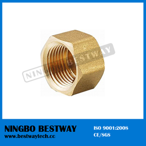 Female Elbow Pipe Fitting with High Quality (BW-633)