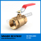 food grade 4 inch ball valve (BW-LFB01E)