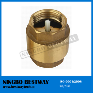 High Performance Plastic Spring Loaded Check Valve (BW-C03)