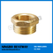 Brass Fitting for PE Pipe Fast Supplier (BW-631)