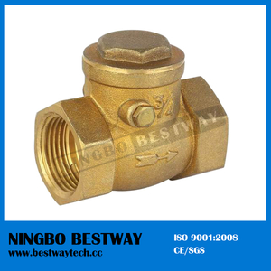 High Performance Brass Check Valve in China Hot Sale (BW-C01)