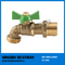 Fully stocked OEM all type good quality brass tap (BW-LFZ42)