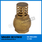 Brass Water Pump Foot Valve Stock (BW-C08)