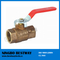 Hot Sale Bronze Ball Valve Producer (BW-Q01)