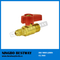 Natural Gas Ball Valve with High Quality (BW-USB07)