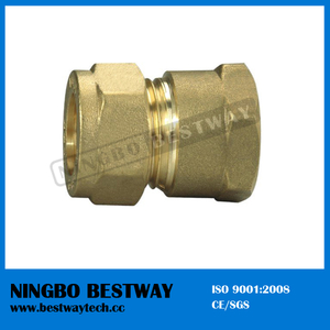 High Quality and Unique Design Brass Pipe Fitting (BW-501)