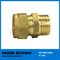 Brass Male and Female Pipe Fitting (BW-503)